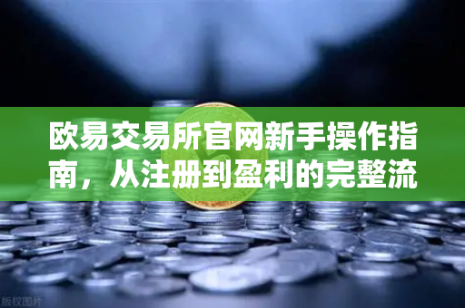 欧易交易所官网新手操作指南，从注册到盈利的完整流程解析-第1张图片-欧易交易所